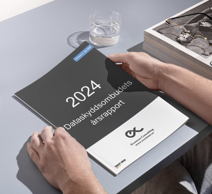 DSOs Årsrapport 2024v2